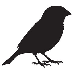 Minimalist Black Sparrow Silhouette Illustration