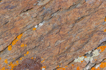 Close-up of lichen patches on rough orange sedimentary rock surface - texture and background.