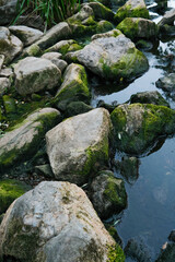 Mossy river stones with reflective water and hints of green foliage.