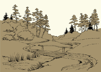 Vector landscape. A dirt road in the forest