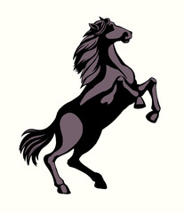 Vector drawing. Man on the horse
