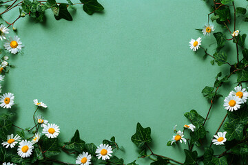 Elegant Floral Frame with Daisies and Ivy on a Soft Green Background