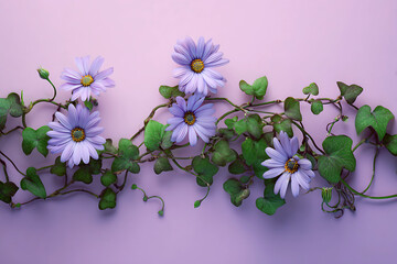 Pastel purple African daisies entwined with green vines on a pink background
