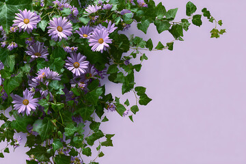 Floral corner arrangement of purple daisies and ivy on a lilac background