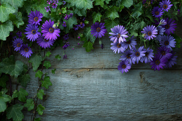 Vibrant Purple Daisies and Lush Greenery on Rustic Wooden Background Frame