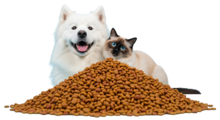 Adorable Dog and Cat with Pet Food Pile Isolated on a Transparent Background PNG
