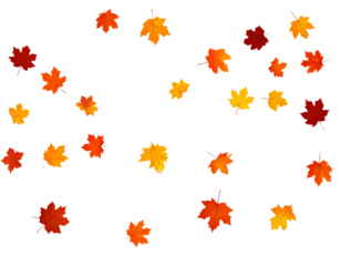 cartoon-style autumn leaves falling, transparent background