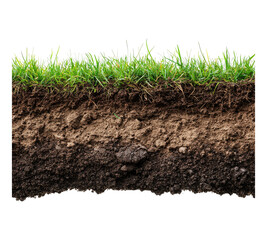 Earth soil land and green grass section isolated on transparent background