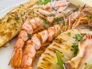 Grilled seafood platter with shrimp, fish, and calamari garnished with herbs on a plate