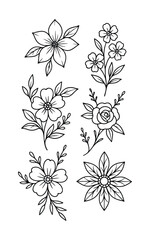 Black and White Floral Line Art Collection