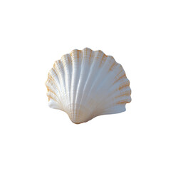 Fototapeta premium White scallop shell isolated on a transparent background, in a PNG format