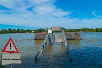 Rheinhochwasser Hochwasser Rhein 