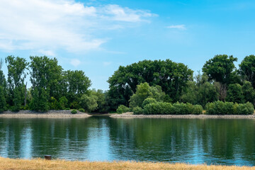 Lush green trees line a serene riverbank under a clear blue sky in a peaceful summer landscape