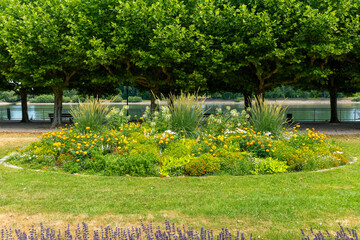 Vibrant garden blooms beside tranquil waters in a lush green park setting on a sunny day