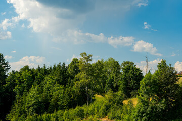 Lush green hills under a bright blue sky with fluffy clouds in a serene natural landscape during late afternoon