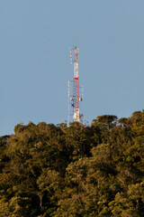 communication tower in the middle of the Atlantic Forest