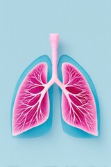 Plastic model of human lungs highlighting bronchial tree on light blue background