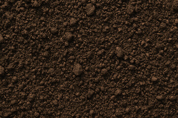 Clay black soil texture.