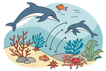 Vibrant ocean ecosystem illustration featuring dolphins and marine life in a food chain