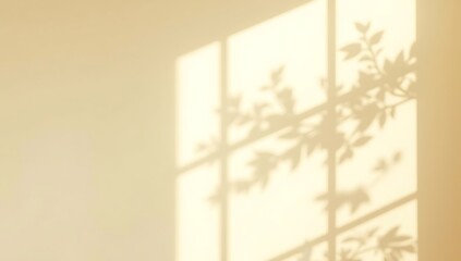 Soft sunshine creates a beautiful warm ambiance, casting gentle leaf shadows and window pane outlines across a neutral wall in a serene, minimalist interior space.