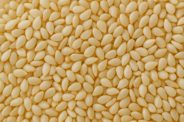 Sesame seed with jaggery sweet.
