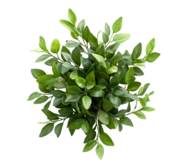 A bunch of fake green leaves on a white background
