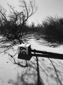 Beach Ramp 59 in Outer Banks