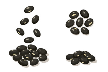 Black beans  on a white background