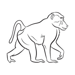 Solid Baboon Stocky Form Outline - Baboon vector - Baboon Line art - Baboon Drawing - Vector Lineart of Baboon - Baboon icon - its commanding intricate dense shape


