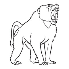 Complete Baboon Physical Anatomy Schema - Baboon vector - Baboon Line art - Baboon Drawing - Vector Lineart of Baboon - Baboon icon - its powerful compact skeletal framework


