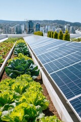Rooftop garden growing vegetables next to solar panels providing clean energy