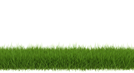 Vibrant green grass with clearly defined individual blades forming a clean natural border, isolated on a plain white background with ample copy space, concept of natural purity and simplicity