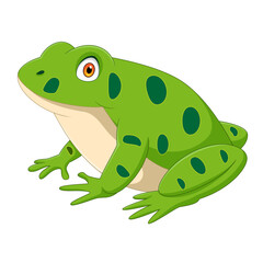 Cartoon frog isolated on white background