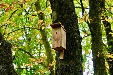 Birdhouse. House for birds. Wooden house for birds