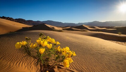 damiana enhancing mood and mindfulness in desert beauty