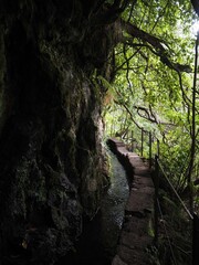 A fairytale trail hidden under dense greenery along a levada in the forest on Levada do Caldeirao...