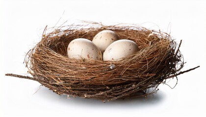 Obraz premium bird nest with eggs isolated on transparent background