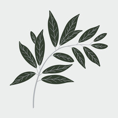 Fototapeta premium Minimal vector illustration of white branch with green leaves on white background – Ideal for botanical designs, eco branding, or nature-themed graphics