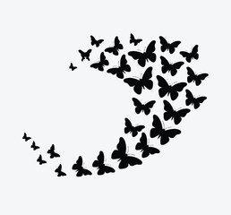 Butterfly  silhouette flying insects