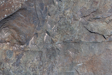 Rough solid sedimentary rock face texture and background