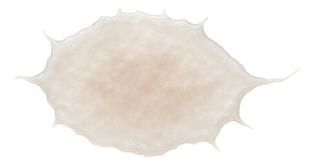 Flattened platelet fragment with irregular shape and pale staining