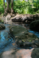 Sun-dappled rocks in a clear stream lead to lush green trees under a bright blue sky.