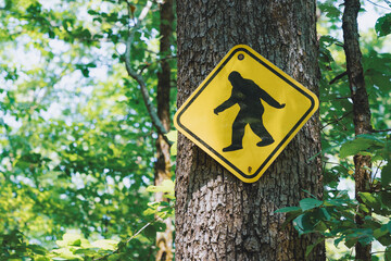 A sign for Bigfoot in an American forest.