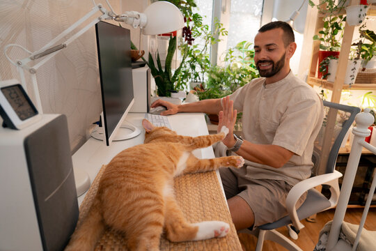 Man sits at a desk in a cozy home office, smiling and engaging give me five playfully with a relaxed orange cat lying across his workspace. Lush plants surround the cheerful atmosphere
