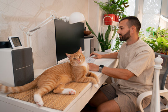 Man sits at his desk working on a laptop while a red cat relaxes beside him on a mat. The serene home office features green plants, creating a comfortable atmosphere for remote work - Powered by Adobe