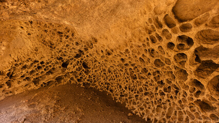 photo of a textured sandstone rock wall covered with natural erosion holes and honeycomb patterns....