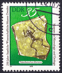 Fossil Frog (Paleobatrachus diluvianus) on a 1978 GDR postage stamp. 250 Years State Scientific...