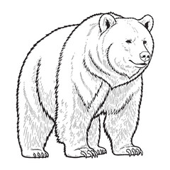 Solid Bear Massive Form Representation - Bear vector - Bear Line art - Bear Drawing - Vector Lineart of Bear - Bear icon - its commanding majestic imposing shape

