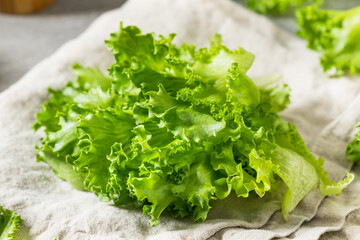 Raw Organic Fresh Baby Green Leaf Lettuce