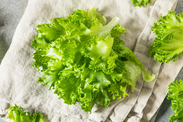 Raw Organic Fresh Baby Green Leaf Lettuce